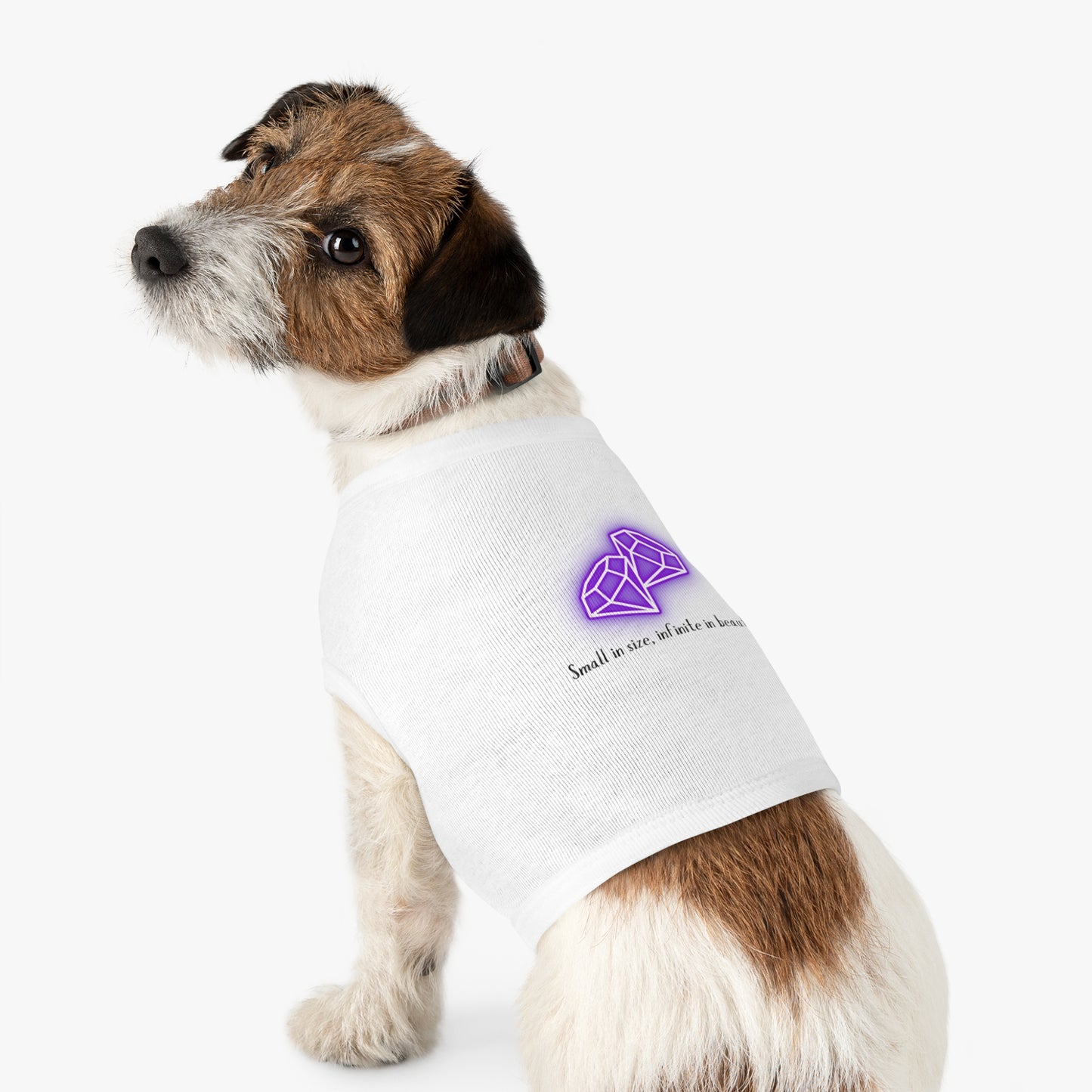 "Small in Size, Infinite in Beauty" Pet Tank Top