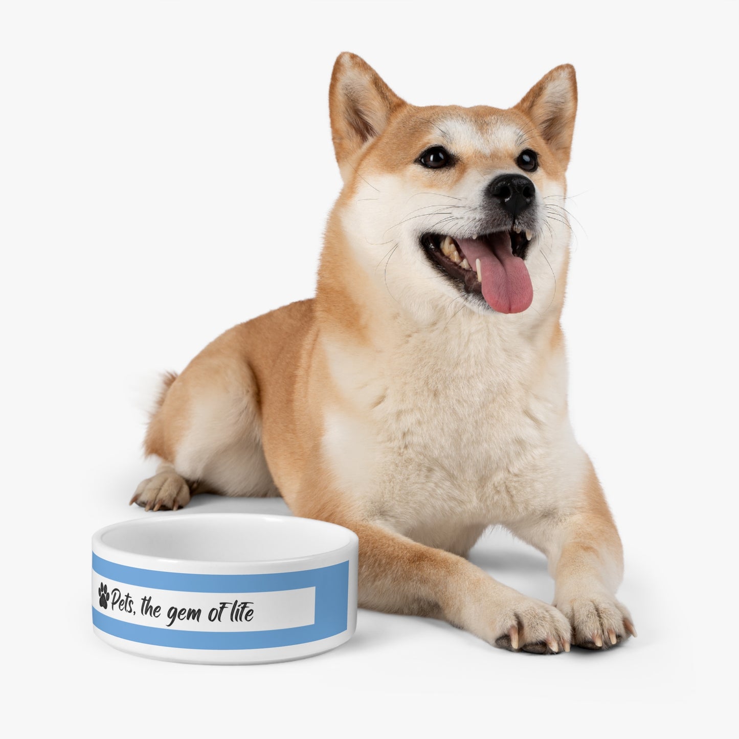 "Pets, the Gem of Life", Pet Bowl