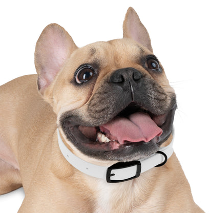 "Golden Paws", Dog Collar